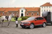 Volkswagen Tiguan II 2016 - 2020