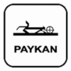 Paykan Logo